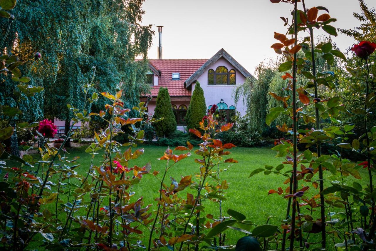 Bed and Breakfast Daiconi Boutique House Minis Exteriér fotografie